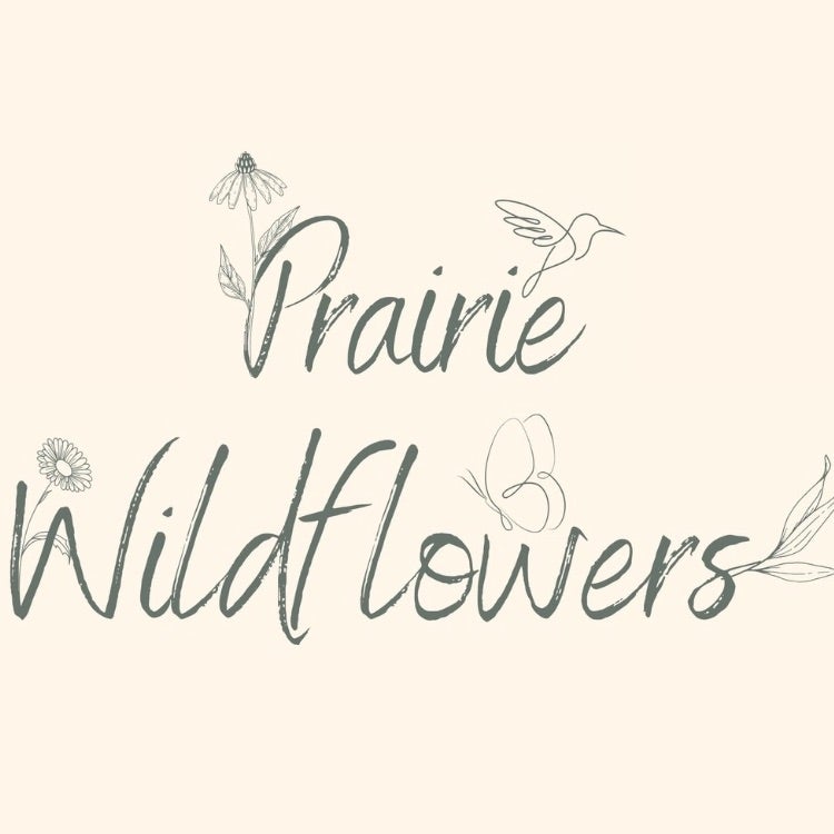 Prairie Wildflowers