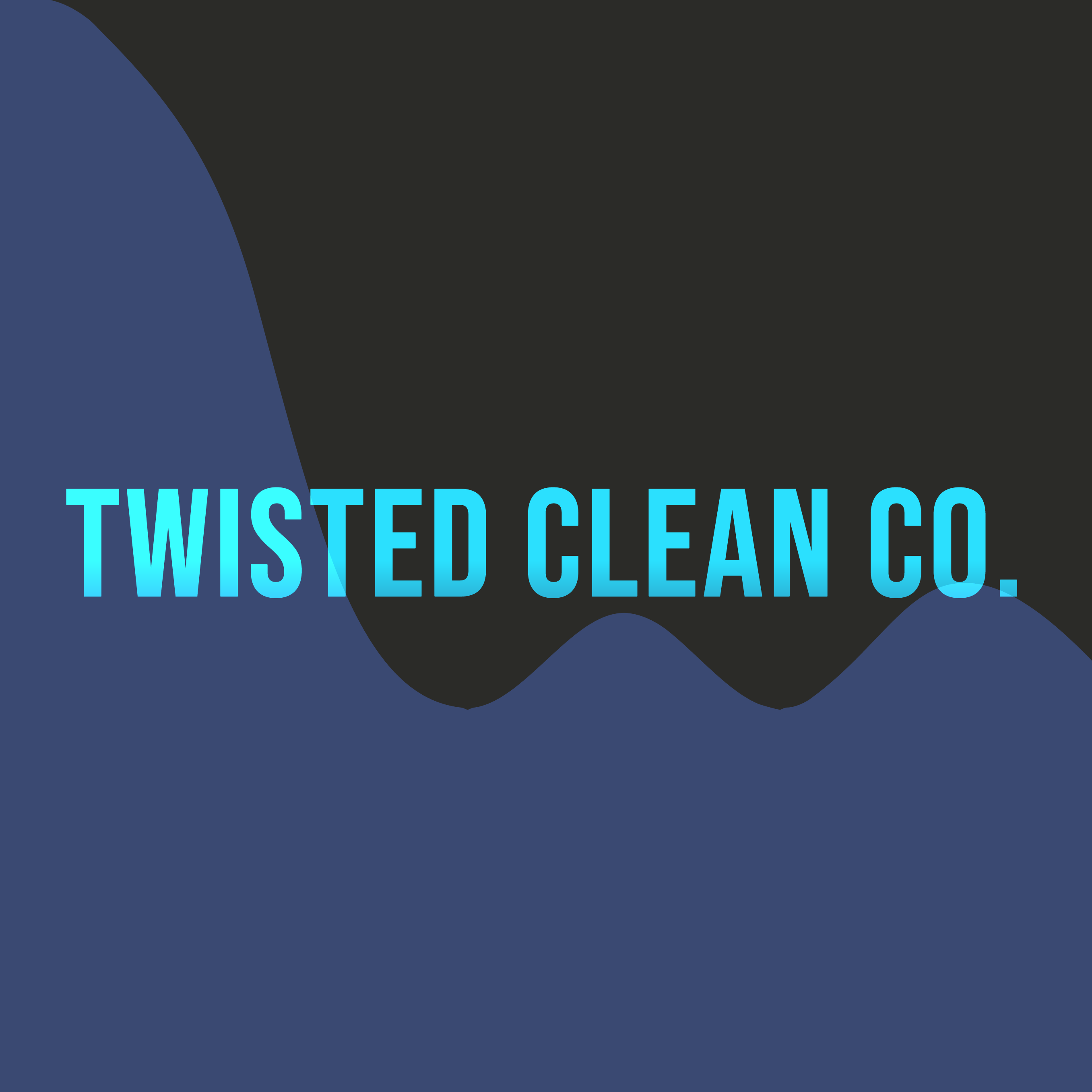 Twisted Clean Co. LLC