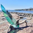 The Glass Feather Cove