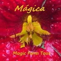 Magic Farm Taos
