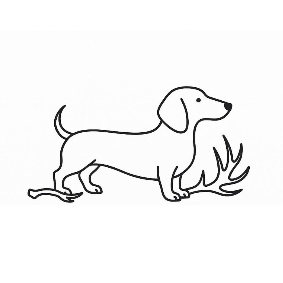 Charlie’s Chews and Treats LLC