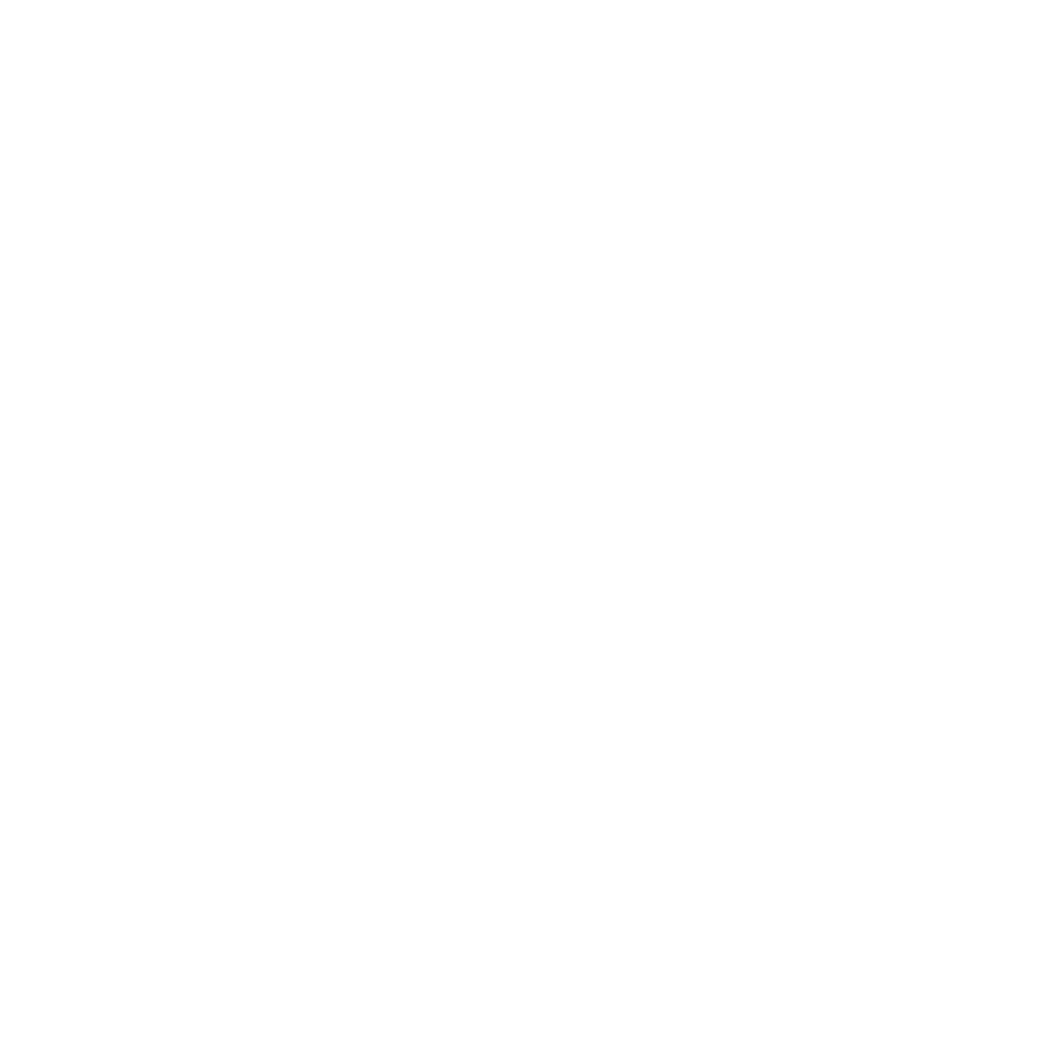PURE SCULPT BODY & SKIN CORP