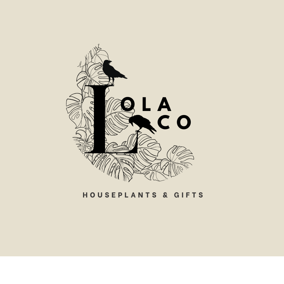 Lola Co