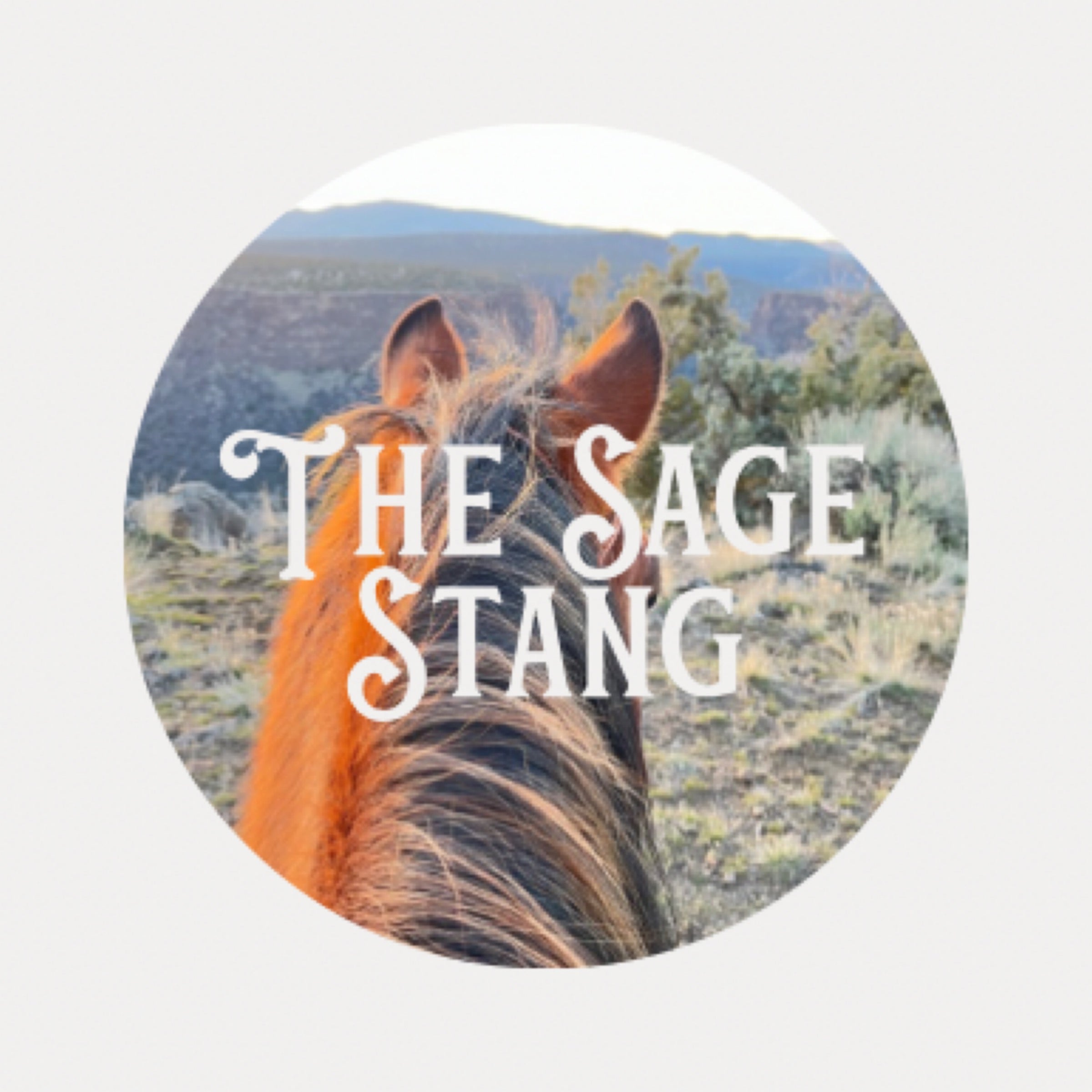 The Sage Stang Boutique