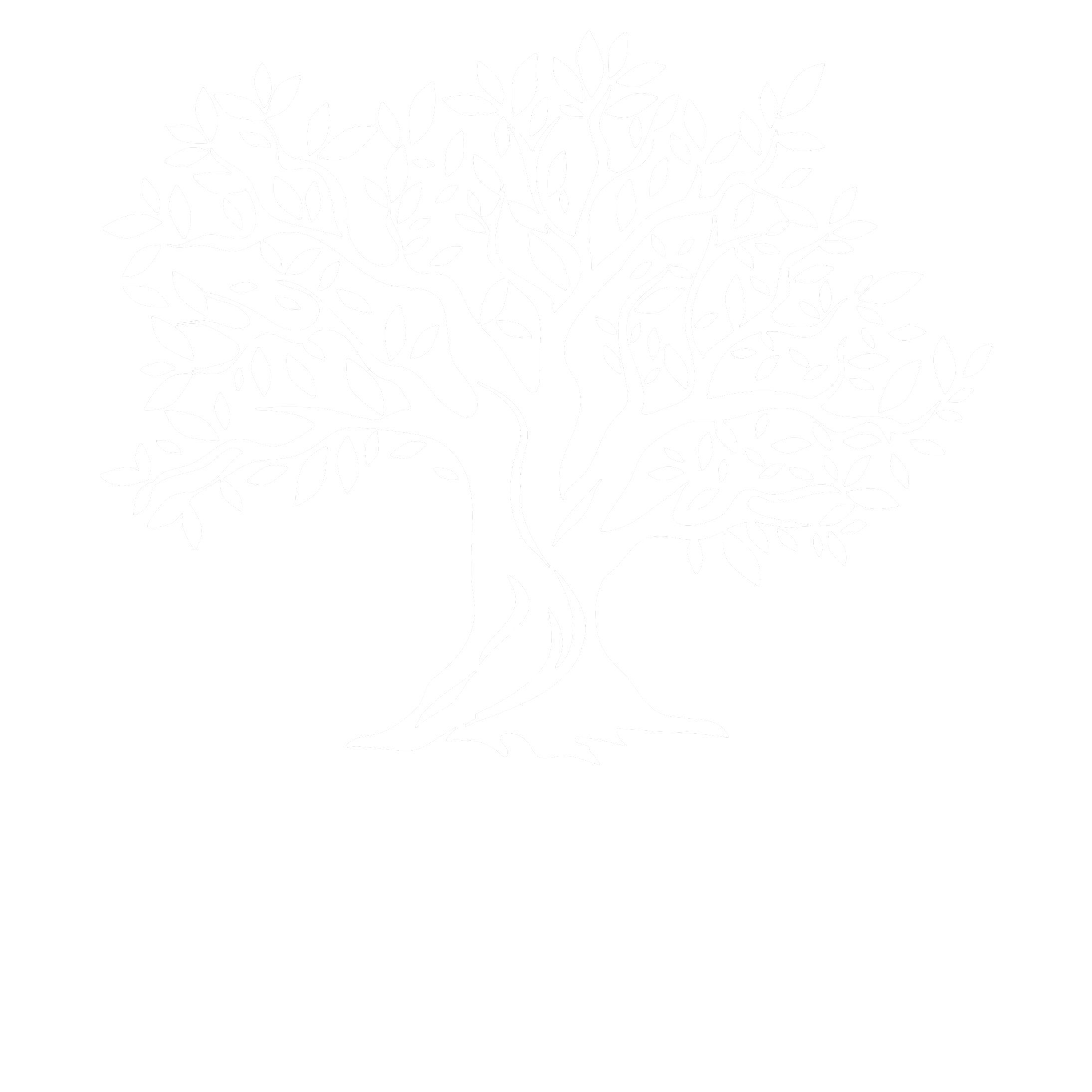 Savory Farms