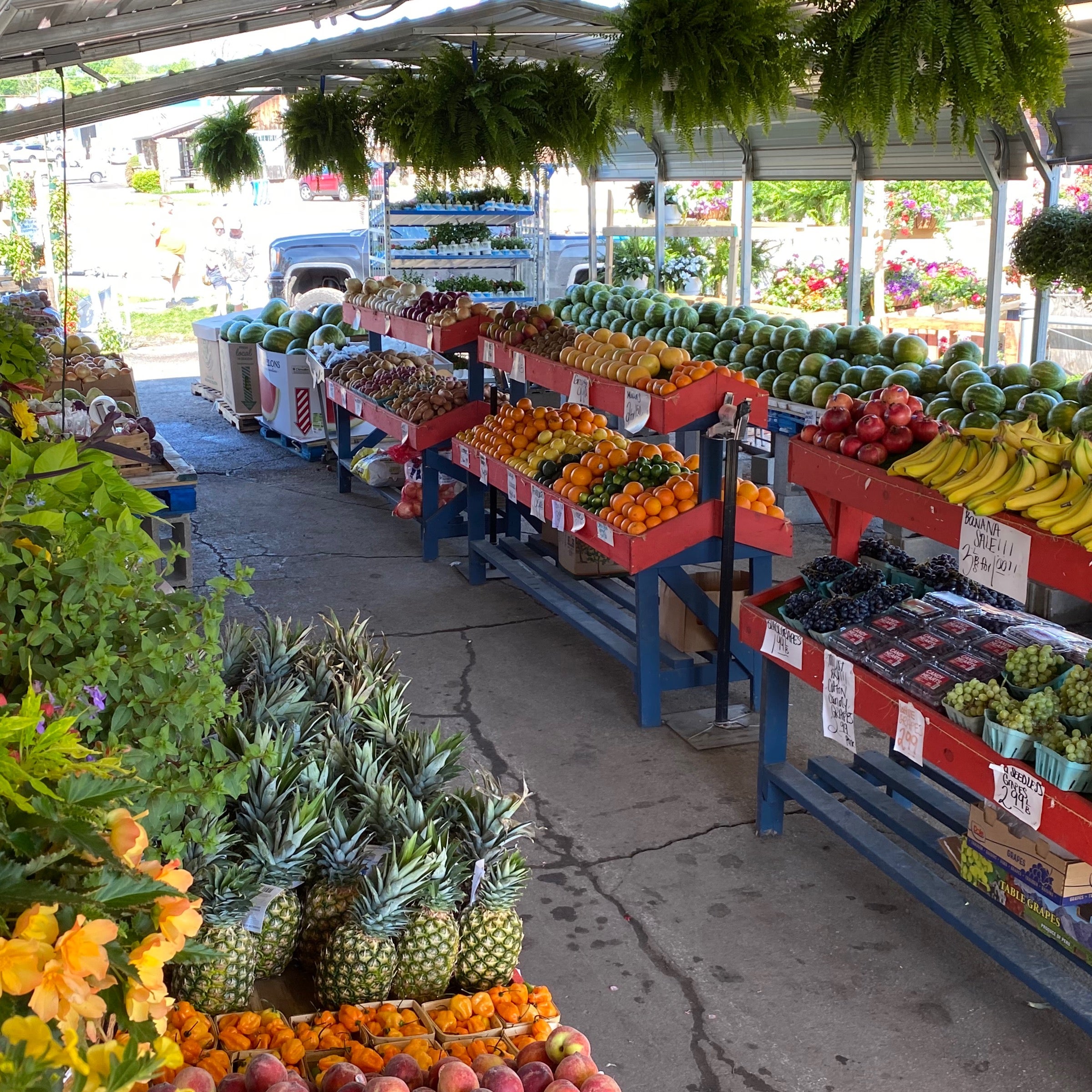 Andys Produce Too LLC