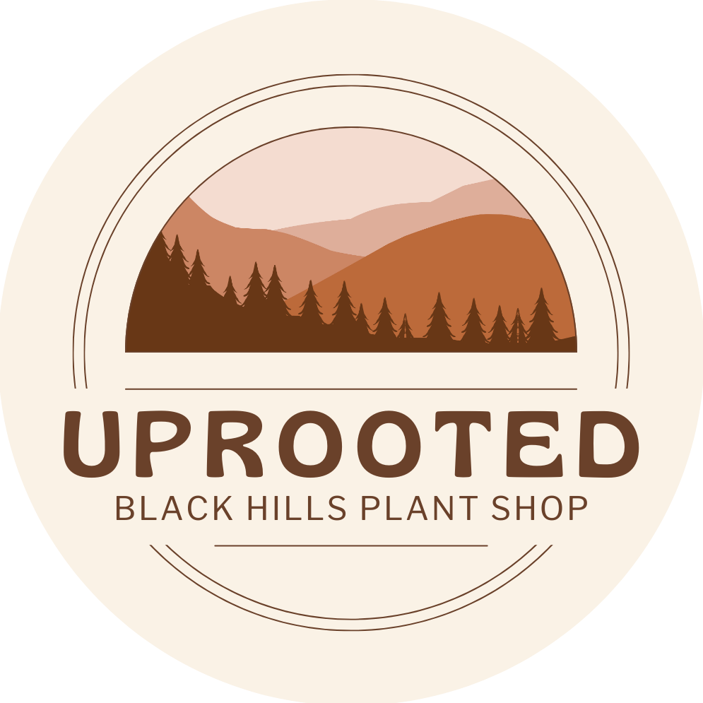 UPROOTED
