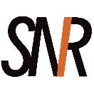 SNR Mobile Detailing