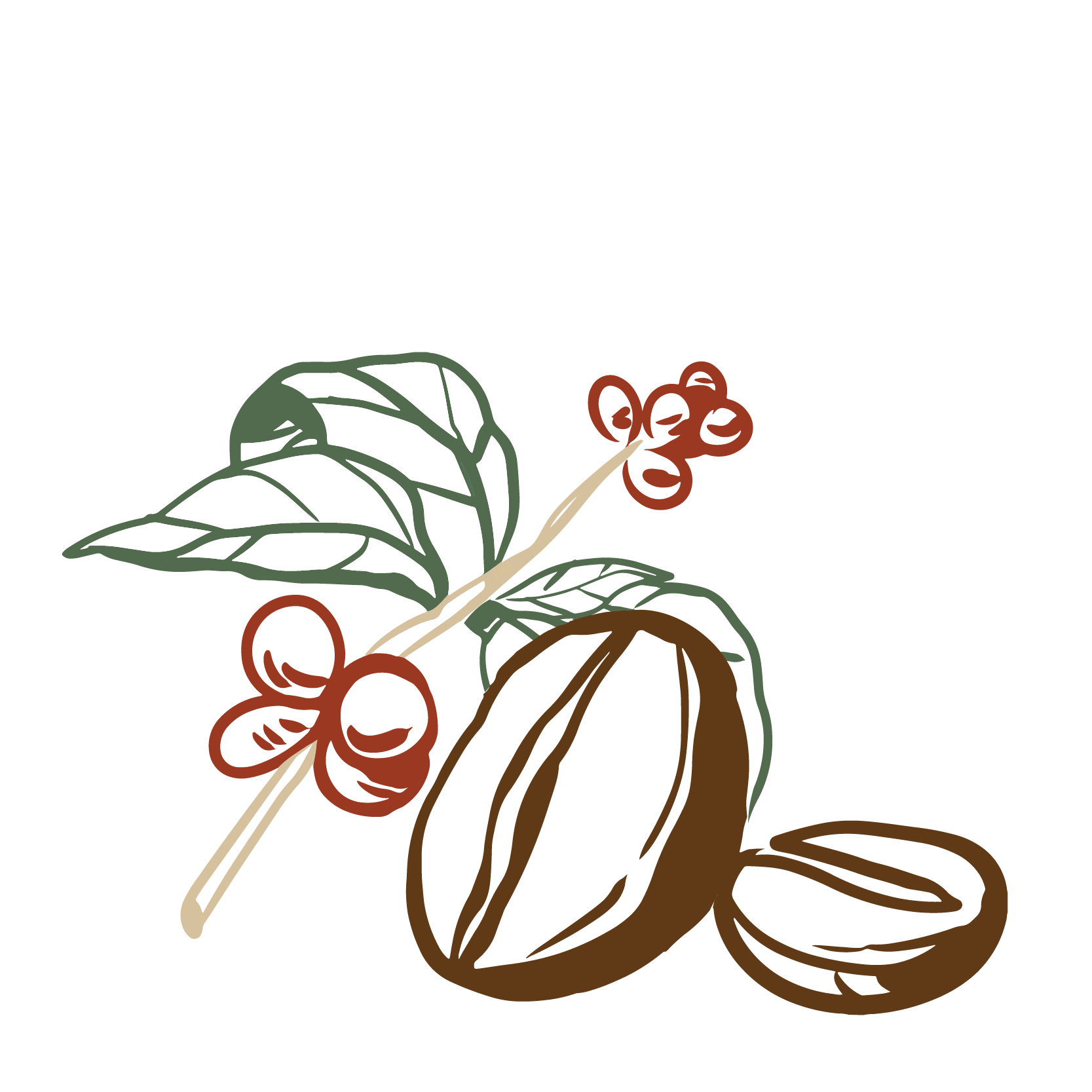 Blissful Brew Coffee Co