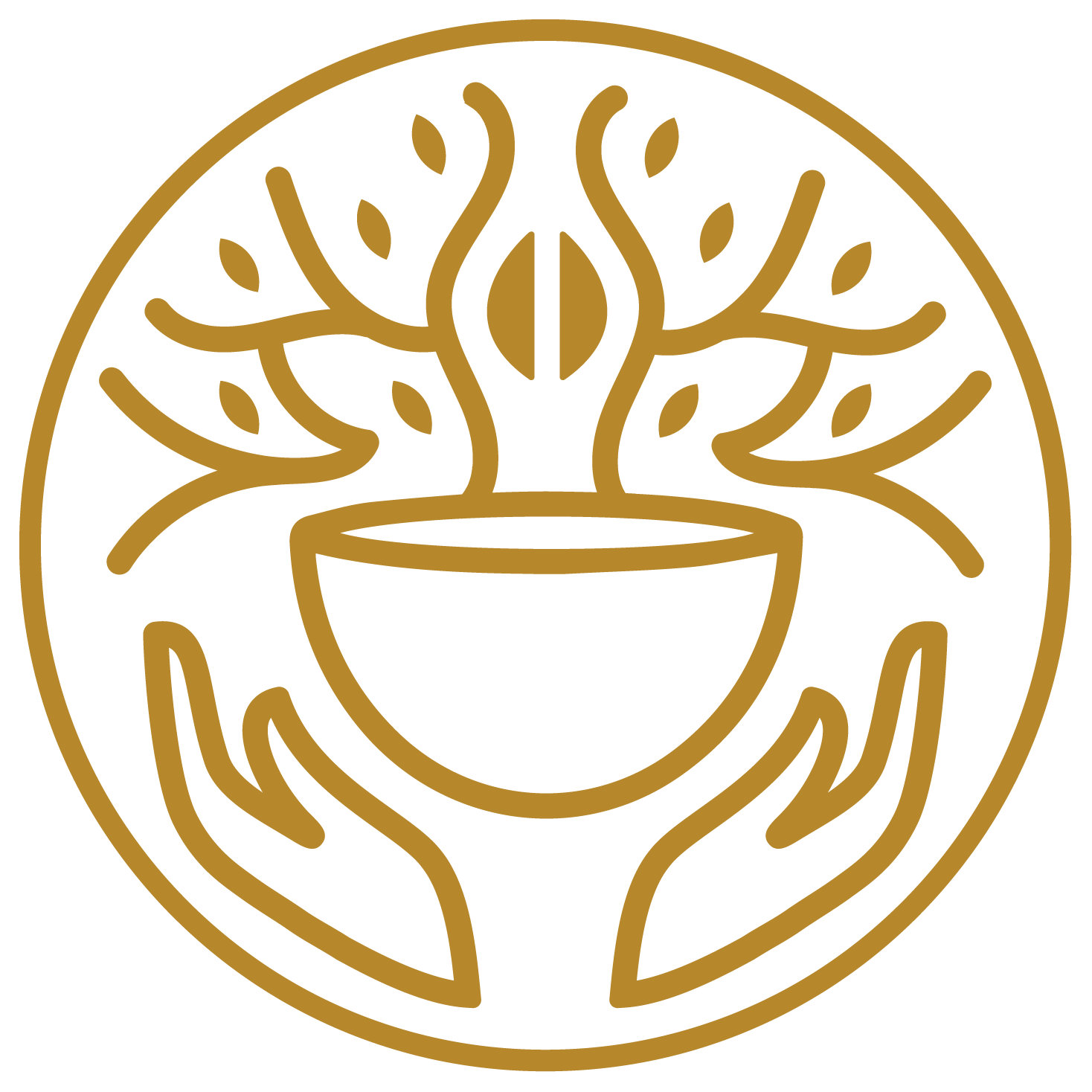 Pámpano Coffee
