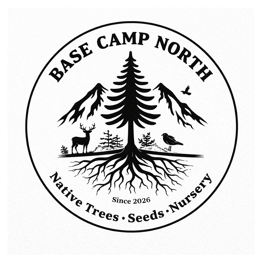 Base Camp North