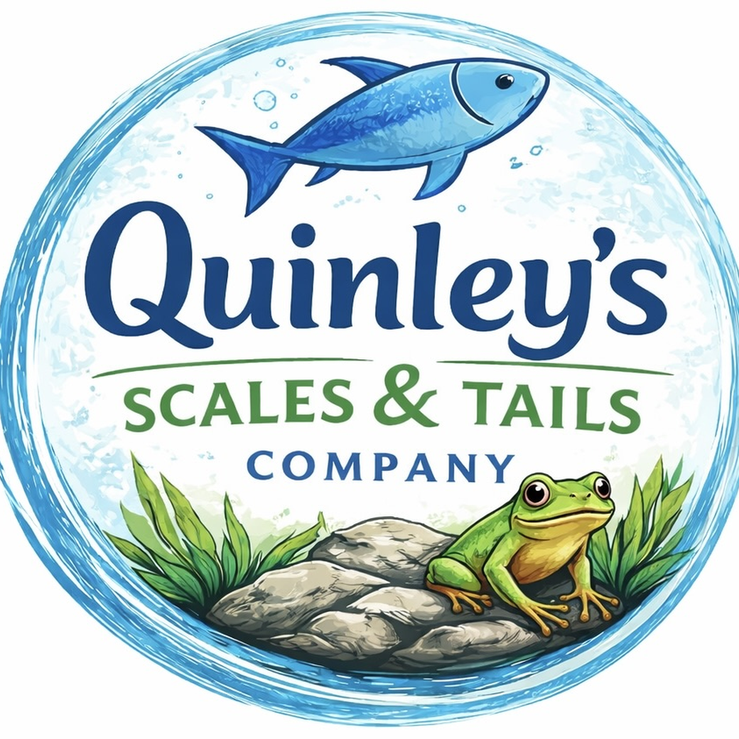 Quinleys Scales and Tails Company
