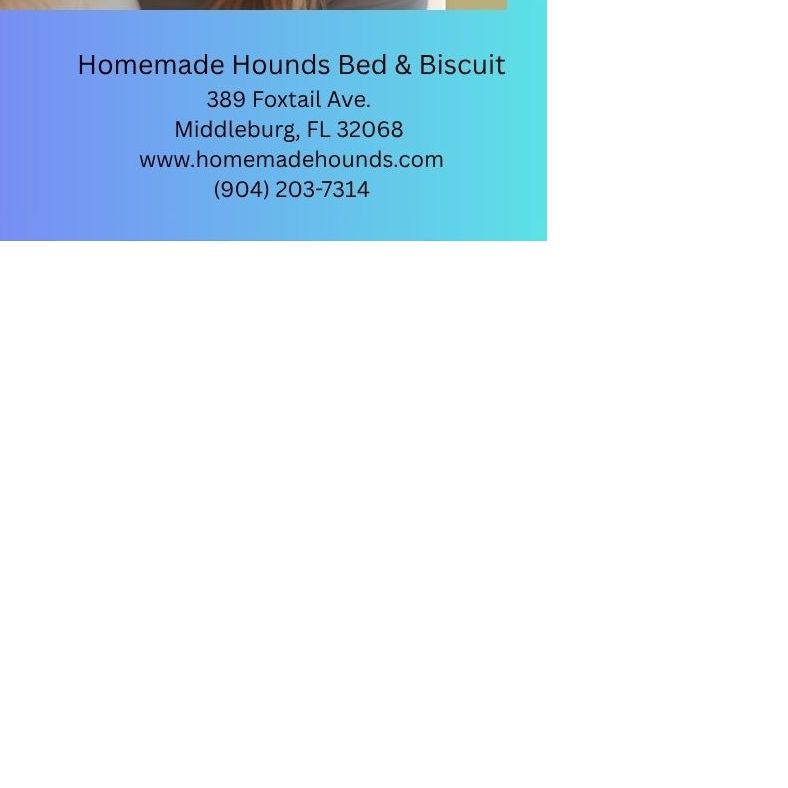 Homemade Hounds