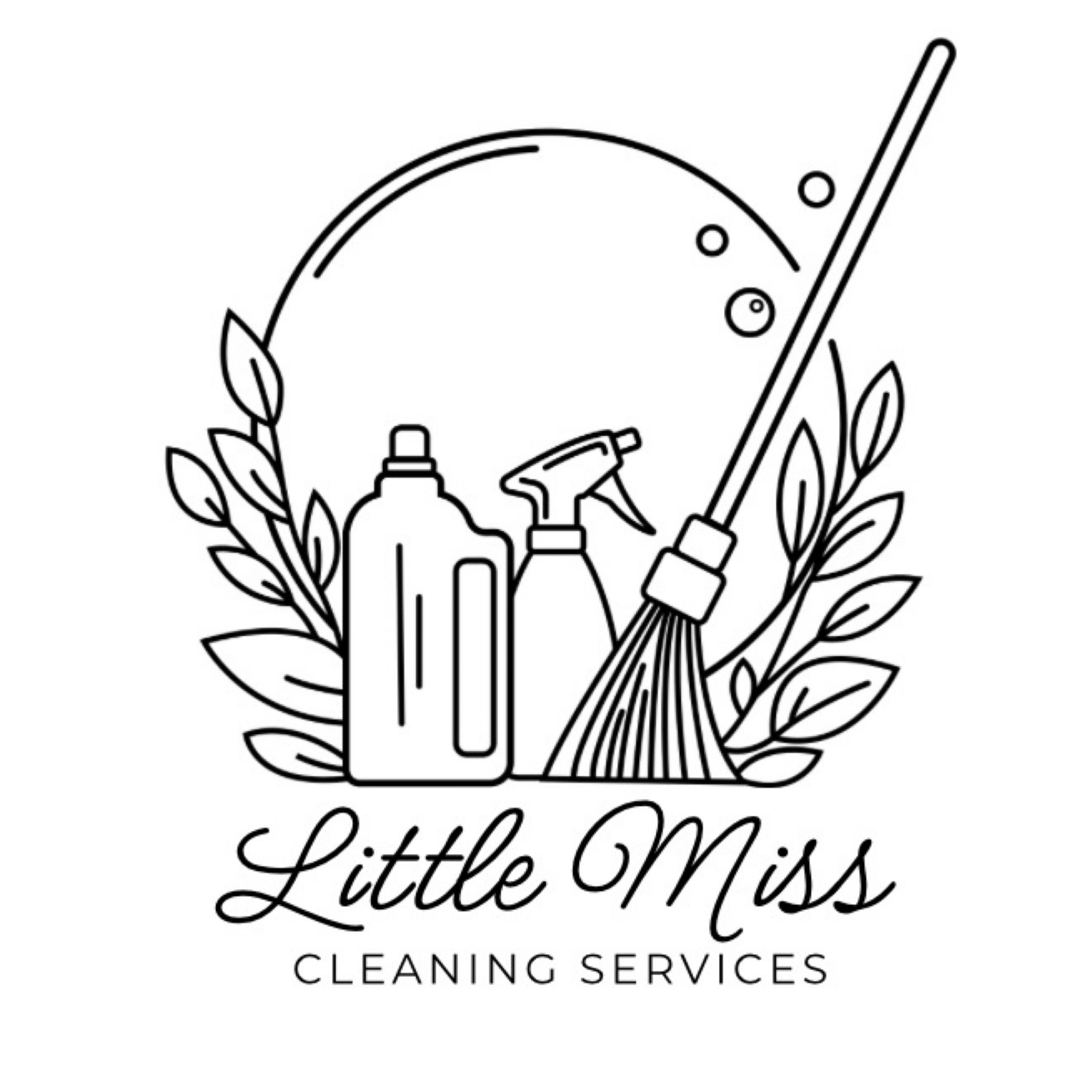 Little Miss Cleaning Services