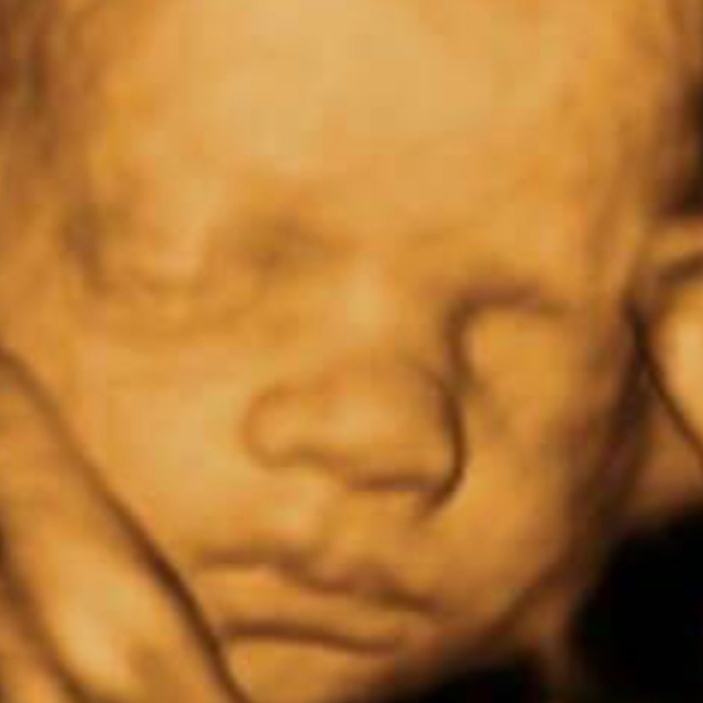 Eden Bloom Baby Boutique and Ultrasound LLC