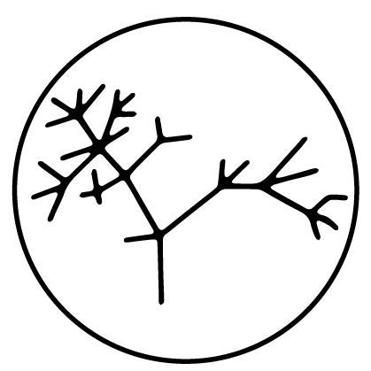 Speciation Cellars