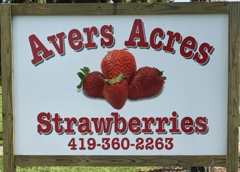 Ryan Avers - Avers Acres Strawberries