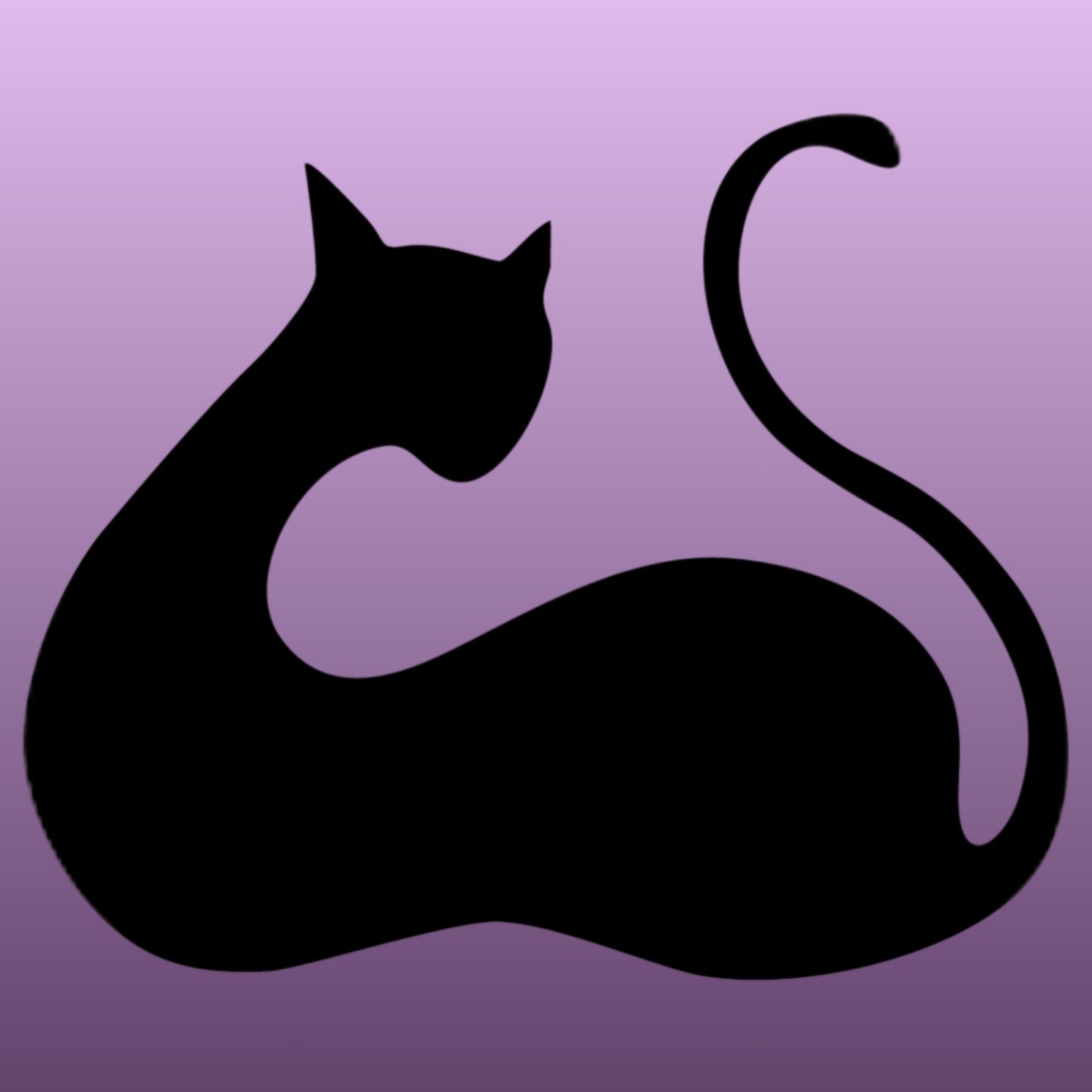 KAAATWALK Hair Studio