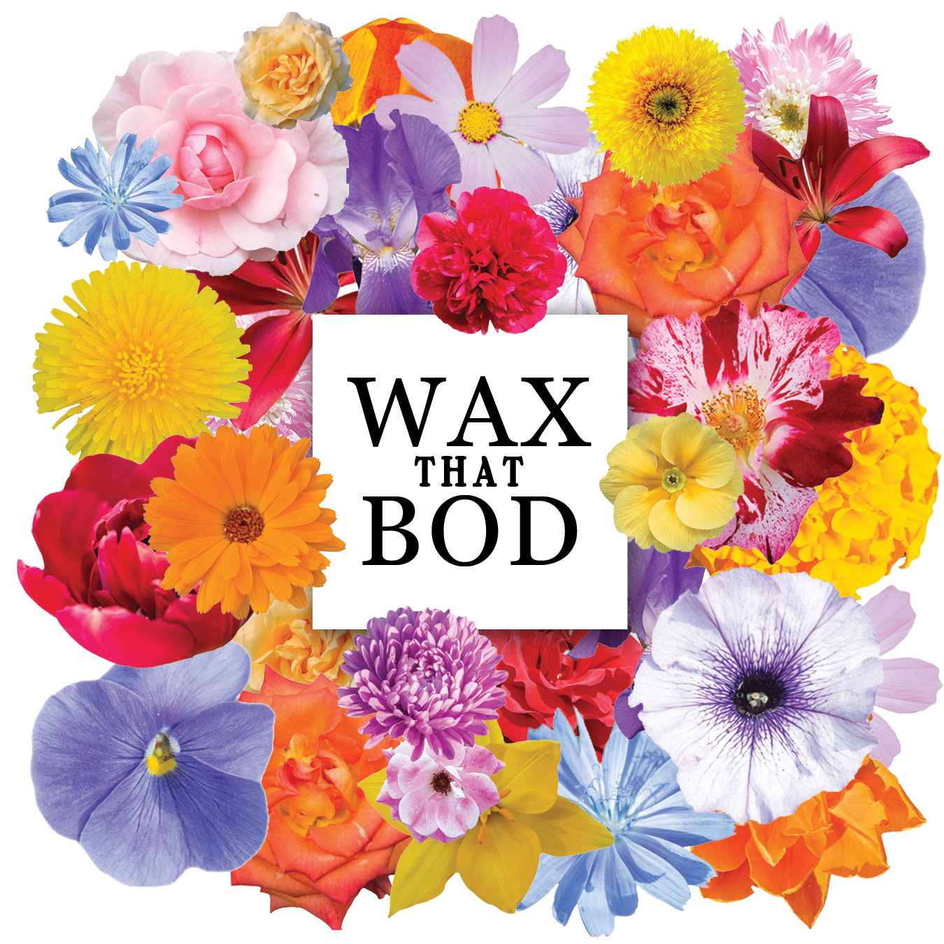 Wax that Bod Co.