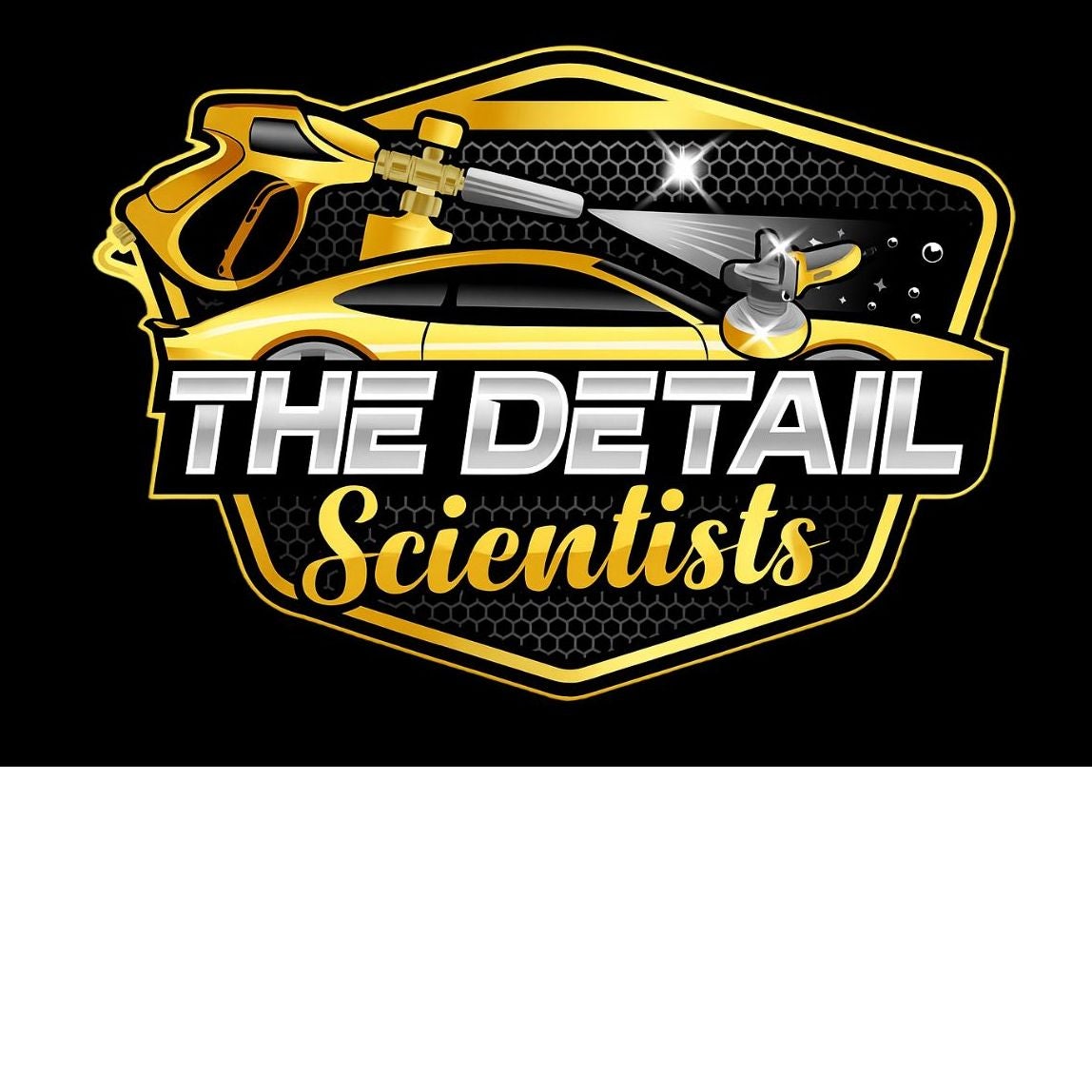 The Detail Scientists