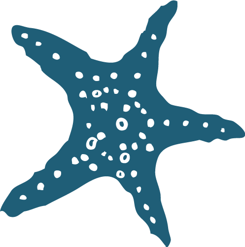 Massage Therapy by Dana