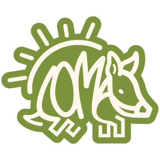 Common Ground Coffee and Bakery