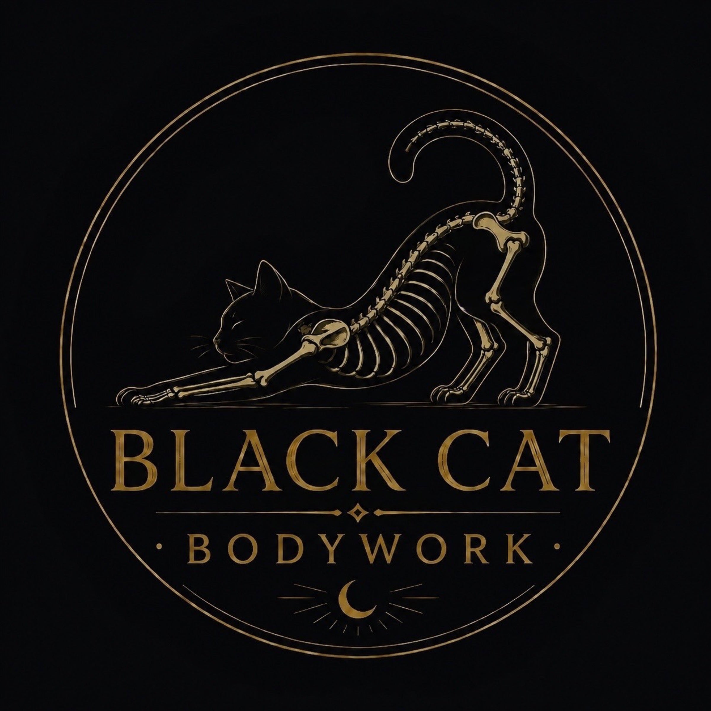 BLACK CAT BODYWORK LLC