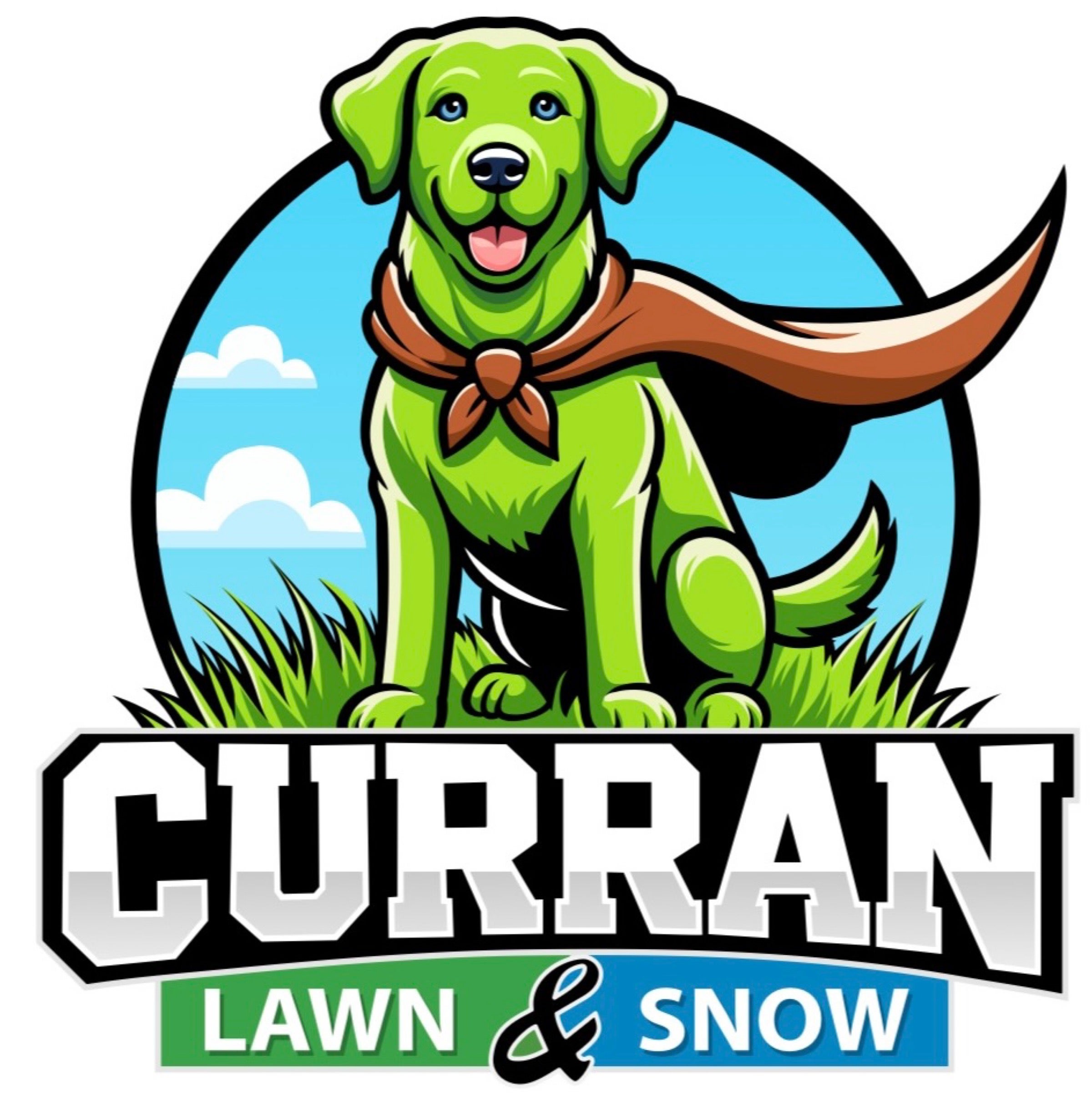 Curran Lawn and Snow