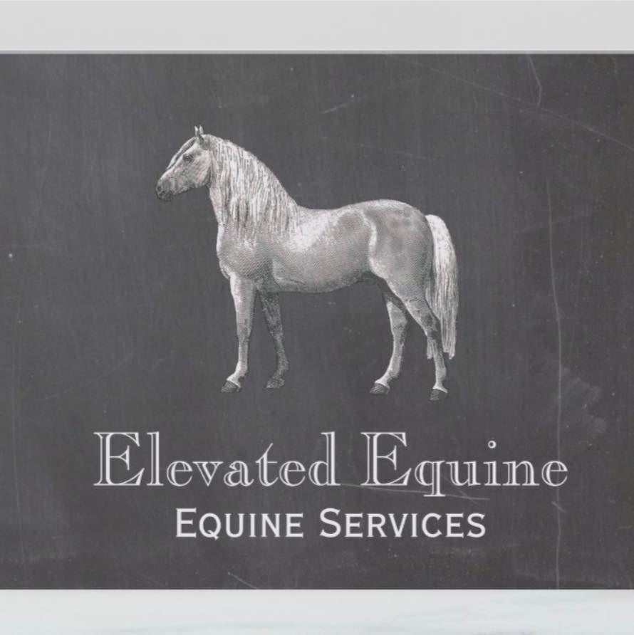 Elevated Equine School and Services