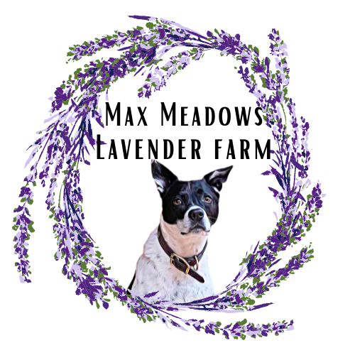 Max Meadows Lavender Farm LLC
