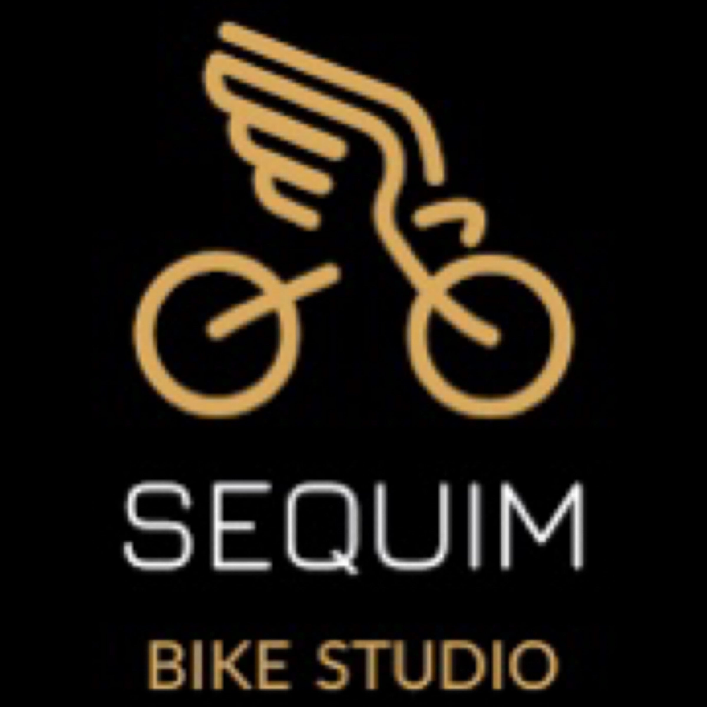 Sequim Bike Studio