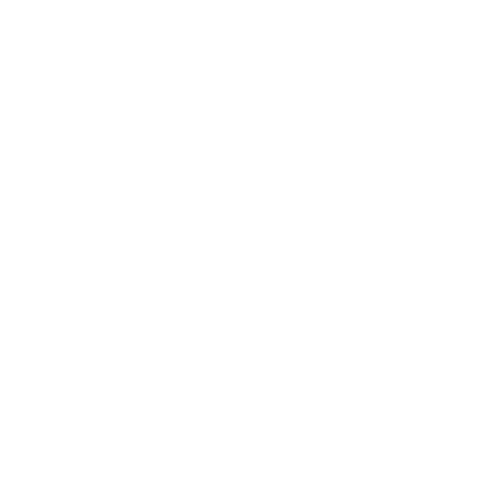 Tried True Thrift Shop