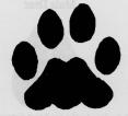 Broadway Kennels