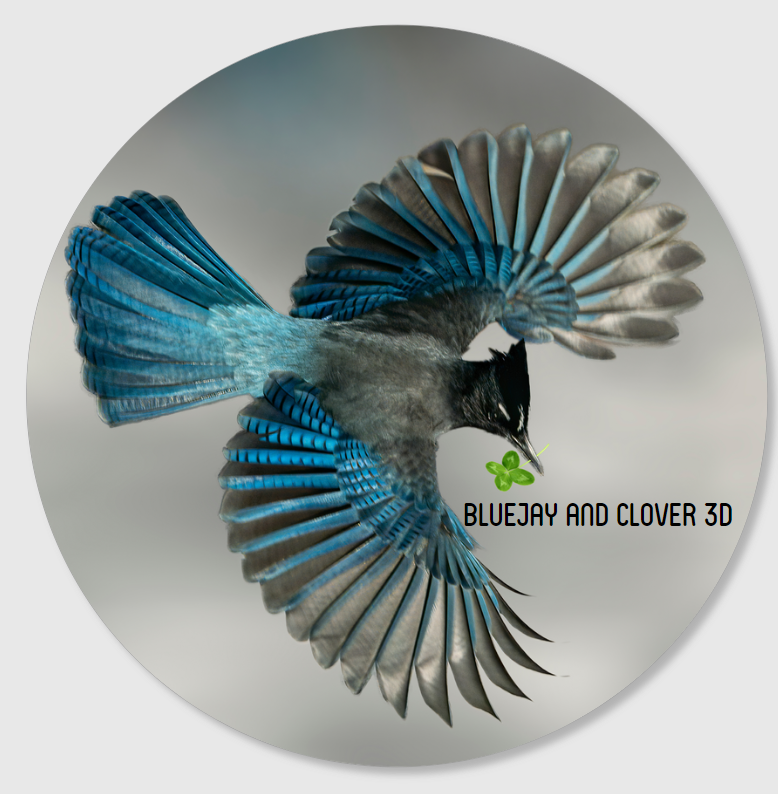 BlueJayandClover3D