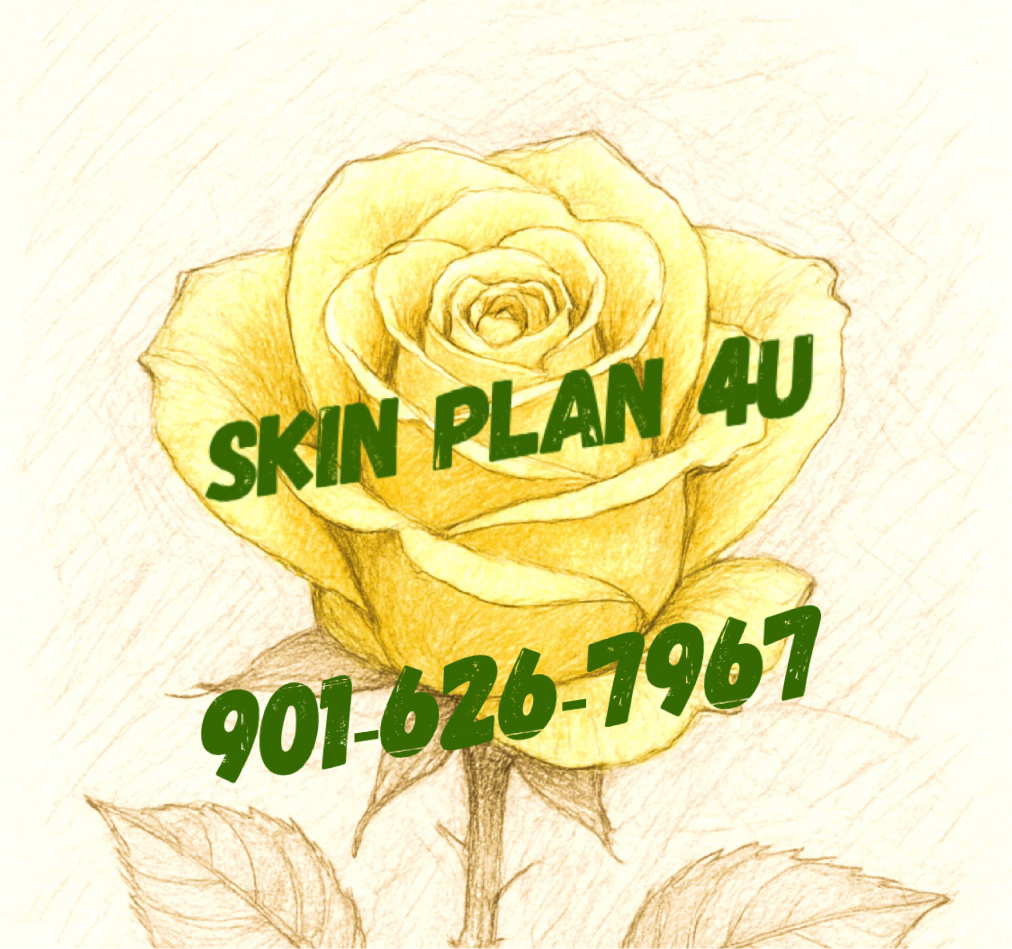Skin Plan 4U