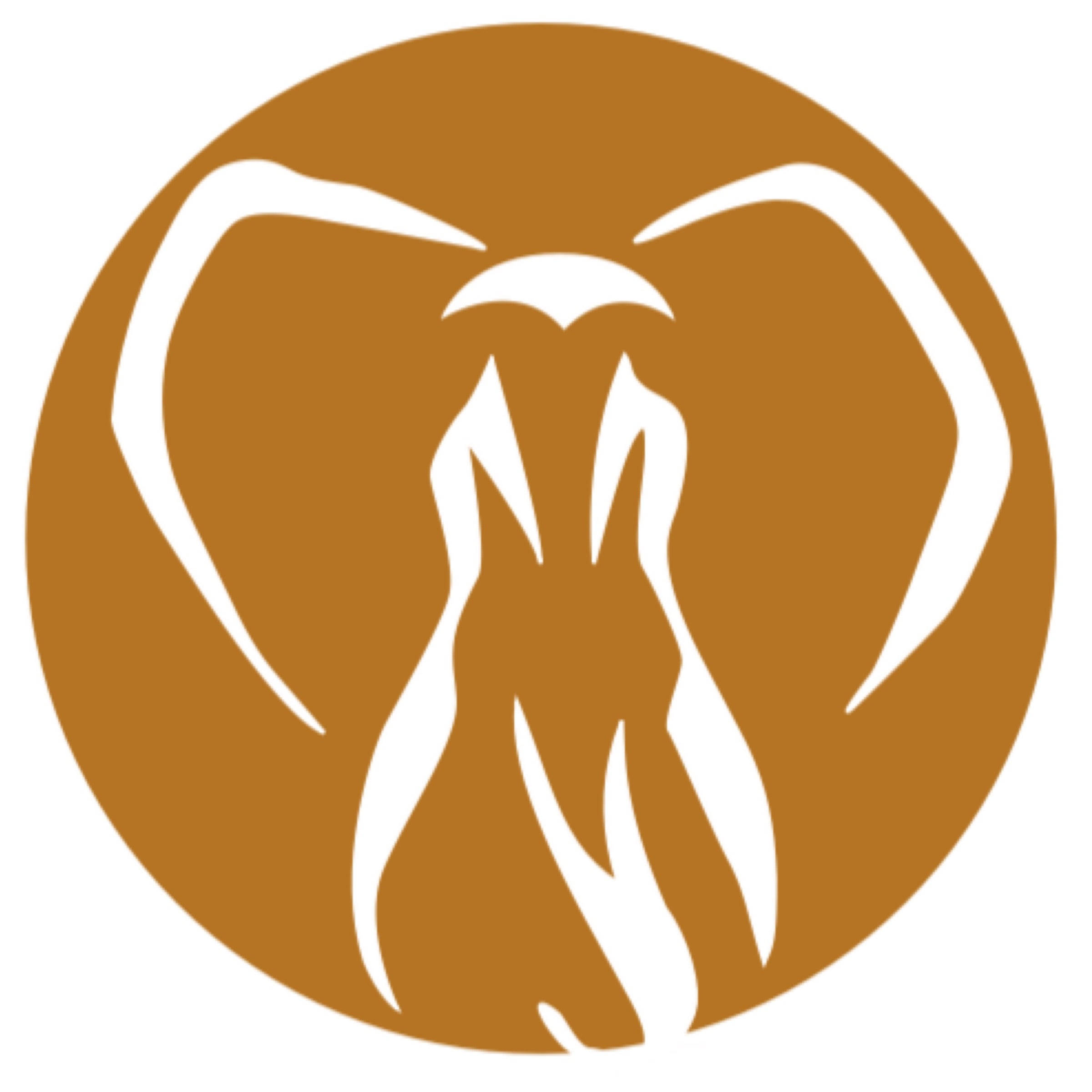 Mind & Body Oasis, LLC