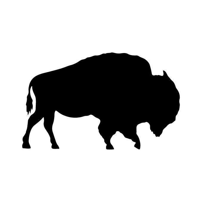 RUSTIC BUFFALO HOME DECOR, ACCENTS & ARTISAN MARKET