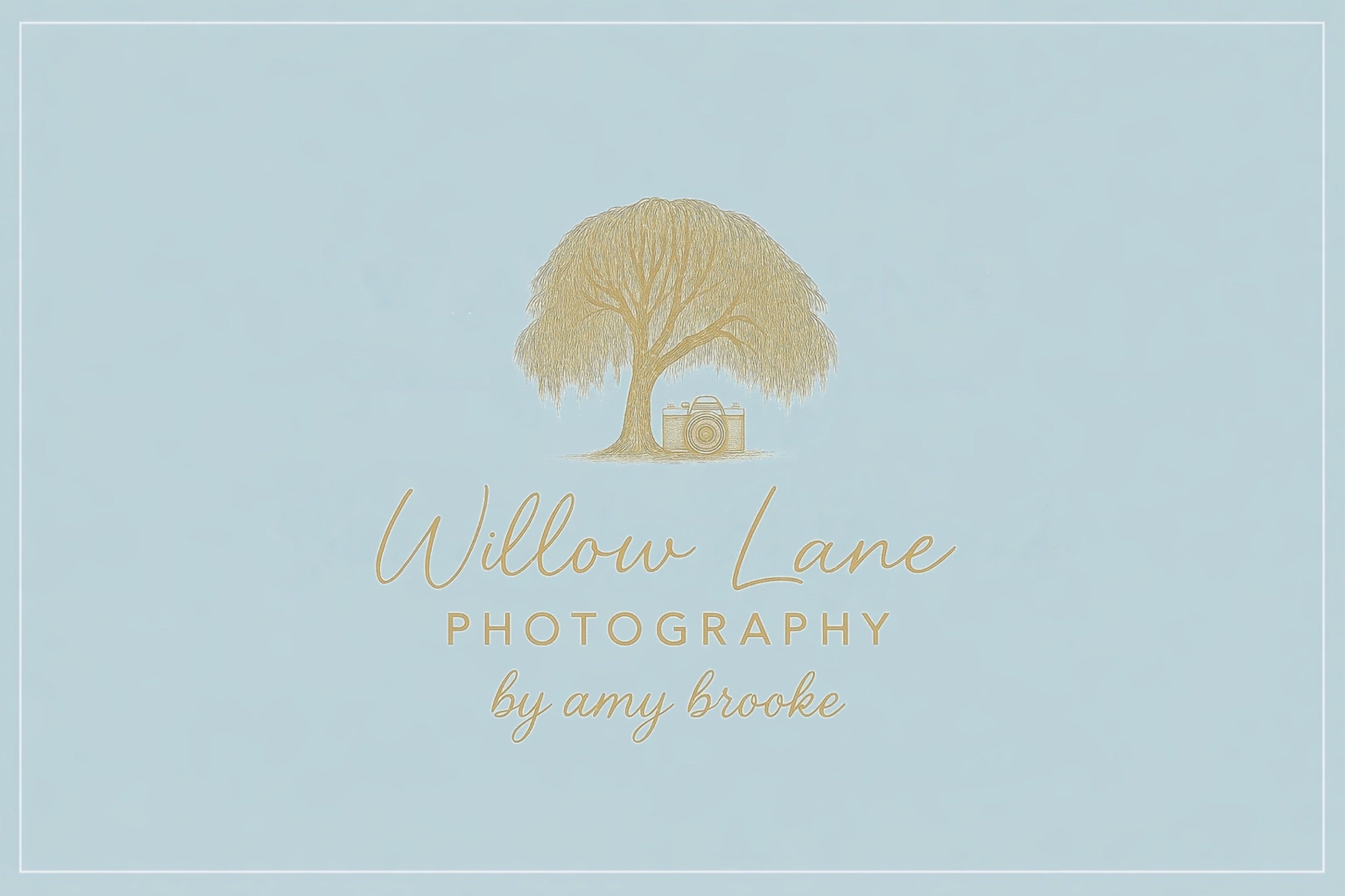 Willow Lane Photography by Amy Brooke