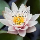 Healing touch massage by Lindsey
