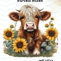 Harvest Haven