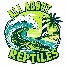 All About Reptiles