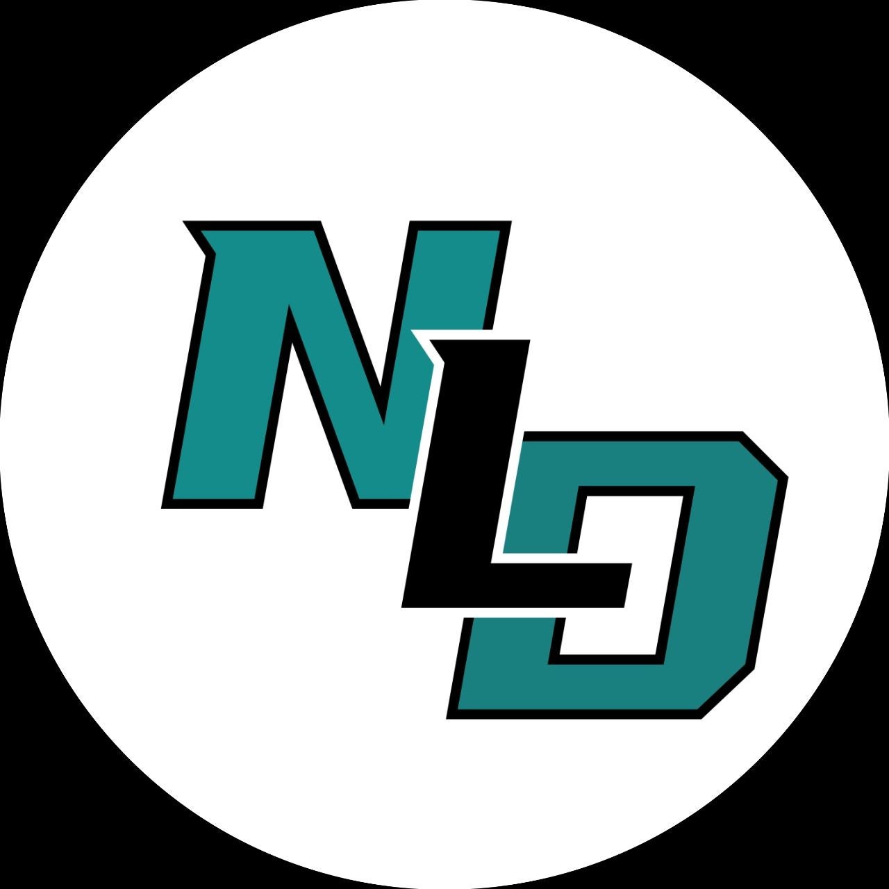 Next Level Development LLC