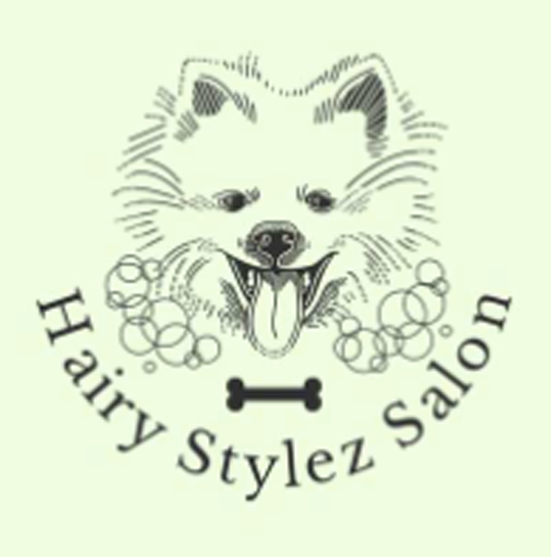 Hairy Stylez Salon