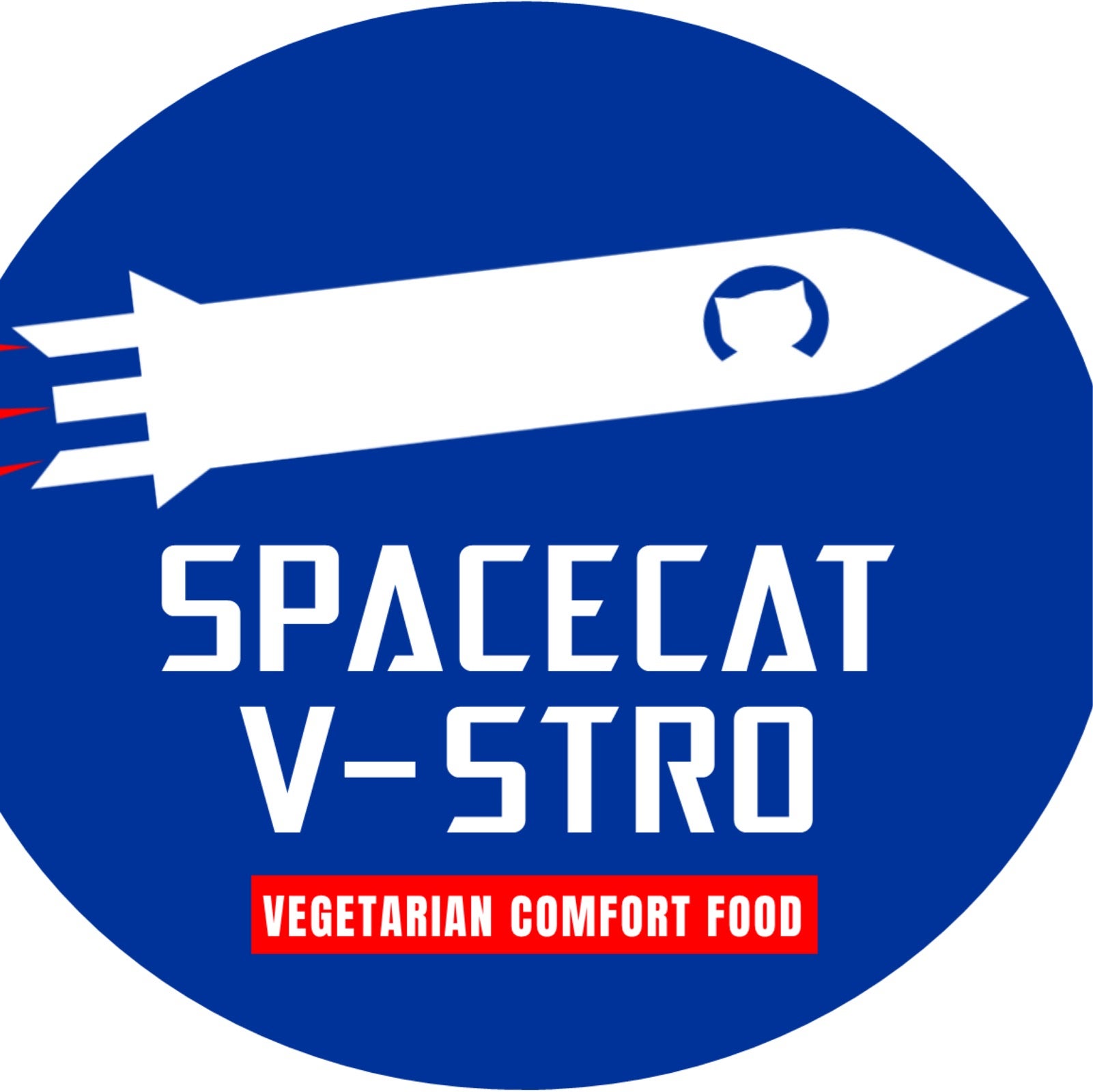 Spacecat V-stro