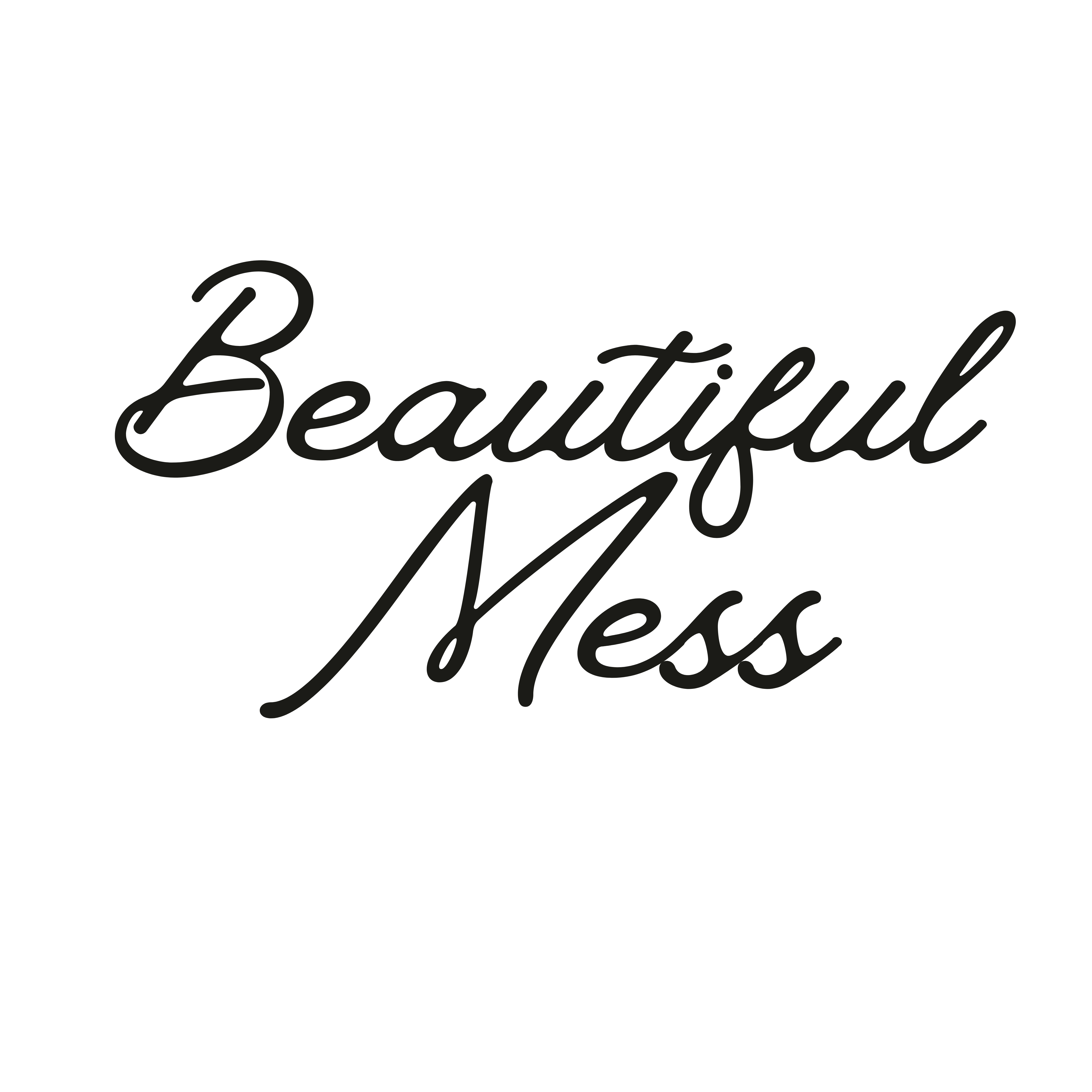 Beautiful Mess
