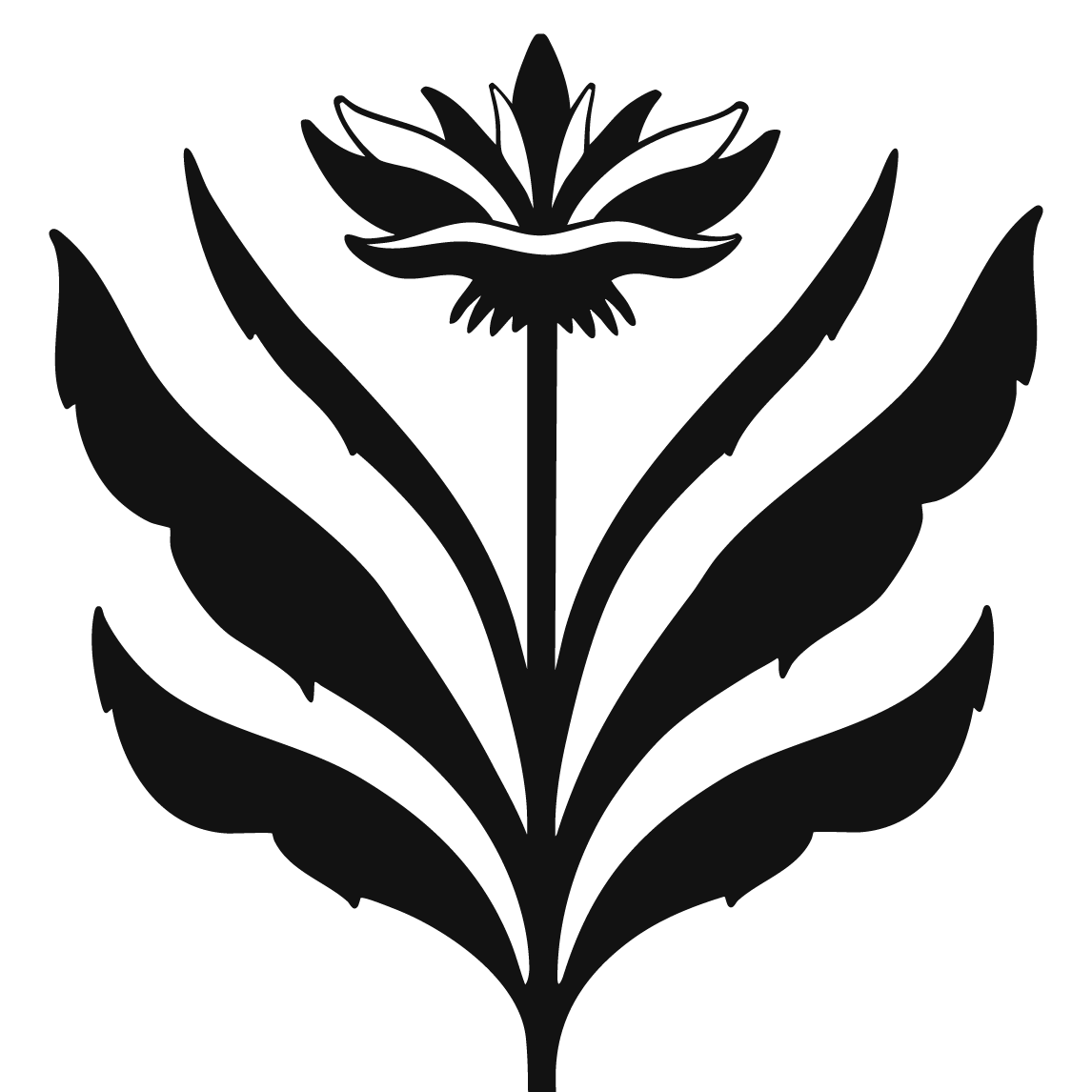 Homestead: The Local Hub