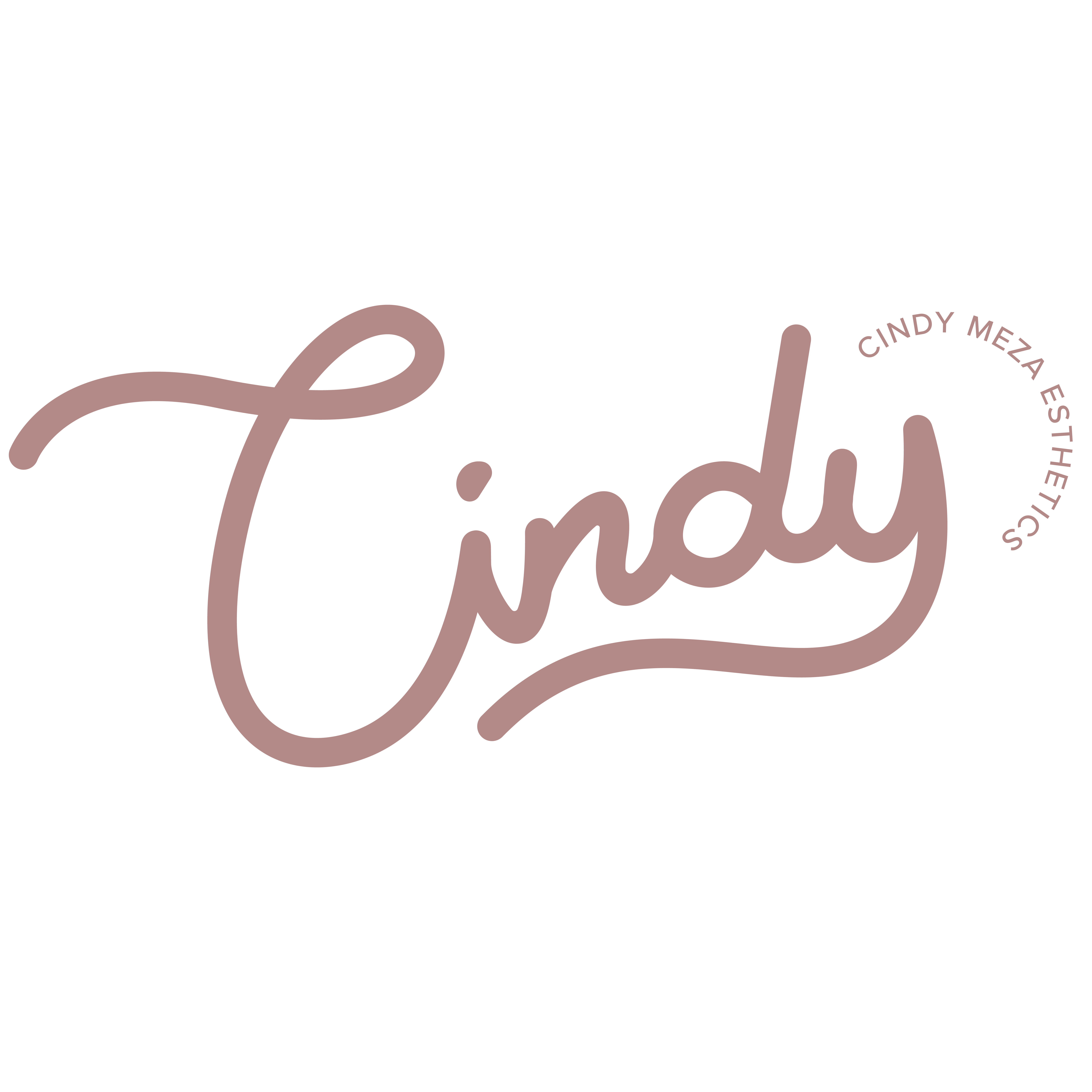 Cindy Meza Esthetics
