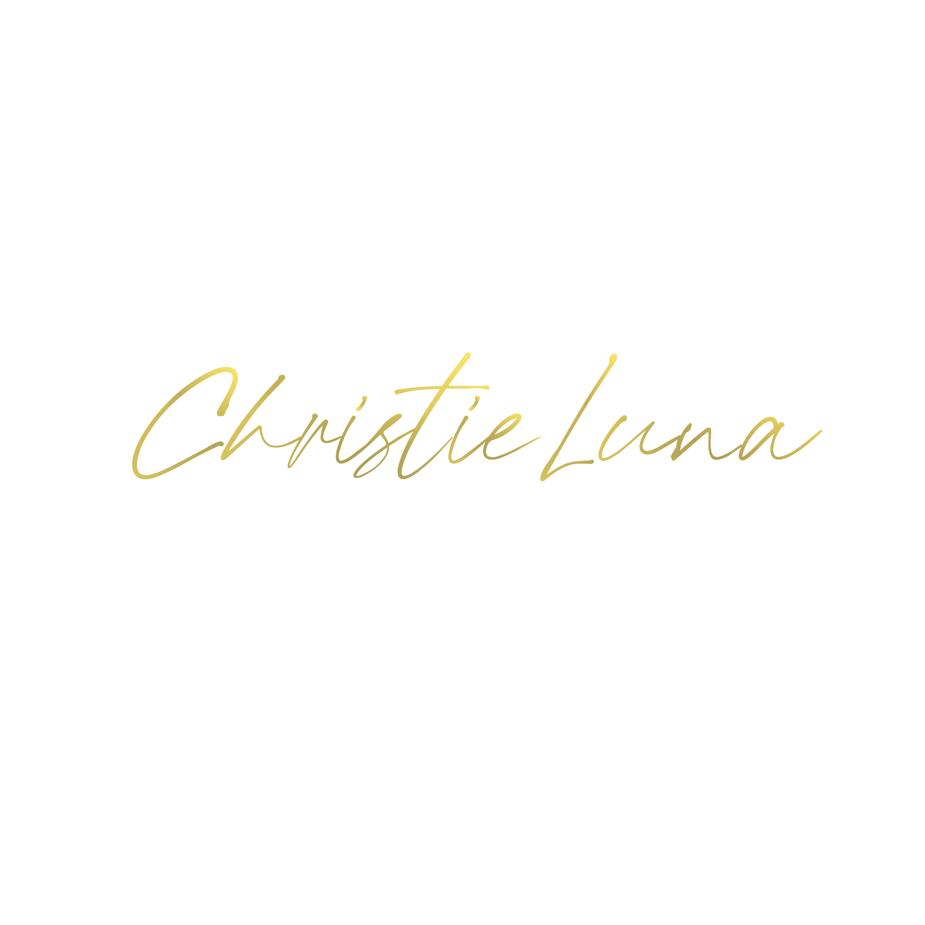 Christie Luna LLC