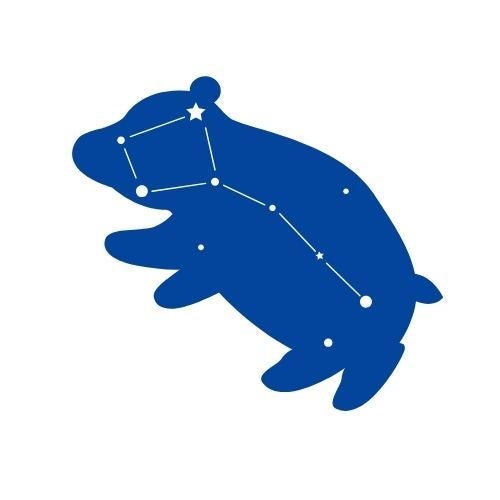 The Little Bear Boutique