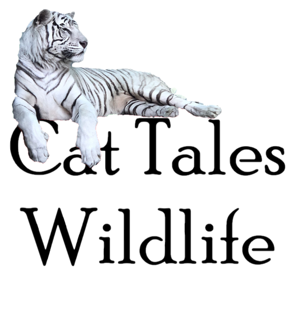 Cat Tales Wildlife